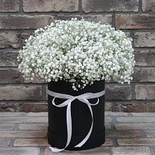 Цветочная композиция из Гипсофила в шляпной коробке в Кропоткине