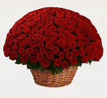 Премиум букет из: Розы в Кропоткине